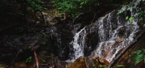 brahmagiri waterfall